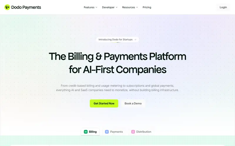 Dodo Payments homepage