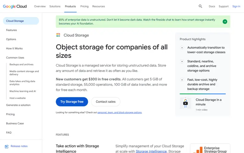 Google Cloud Storage homepage