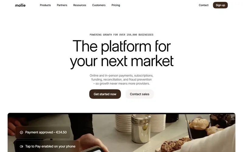 Mollie homepage