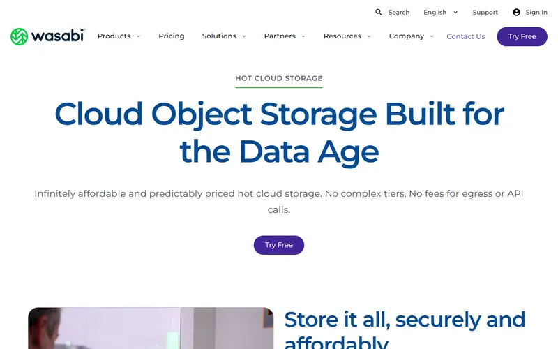 Wasabi Hot Cloud Storage homepage